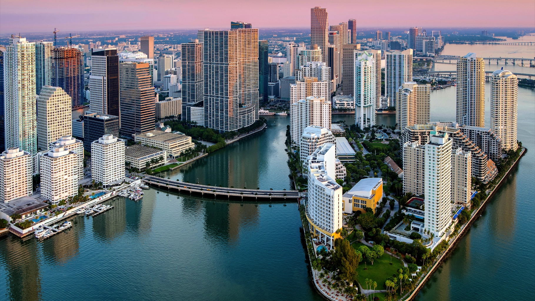Search visibility and local business marketing dashboard representing local SEO for a Miami small business.